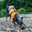 FurryLoft™ Pet Swimming Reflective Vest