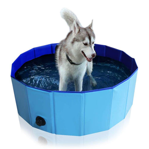 FurryLoft™ Portable Pet Pool